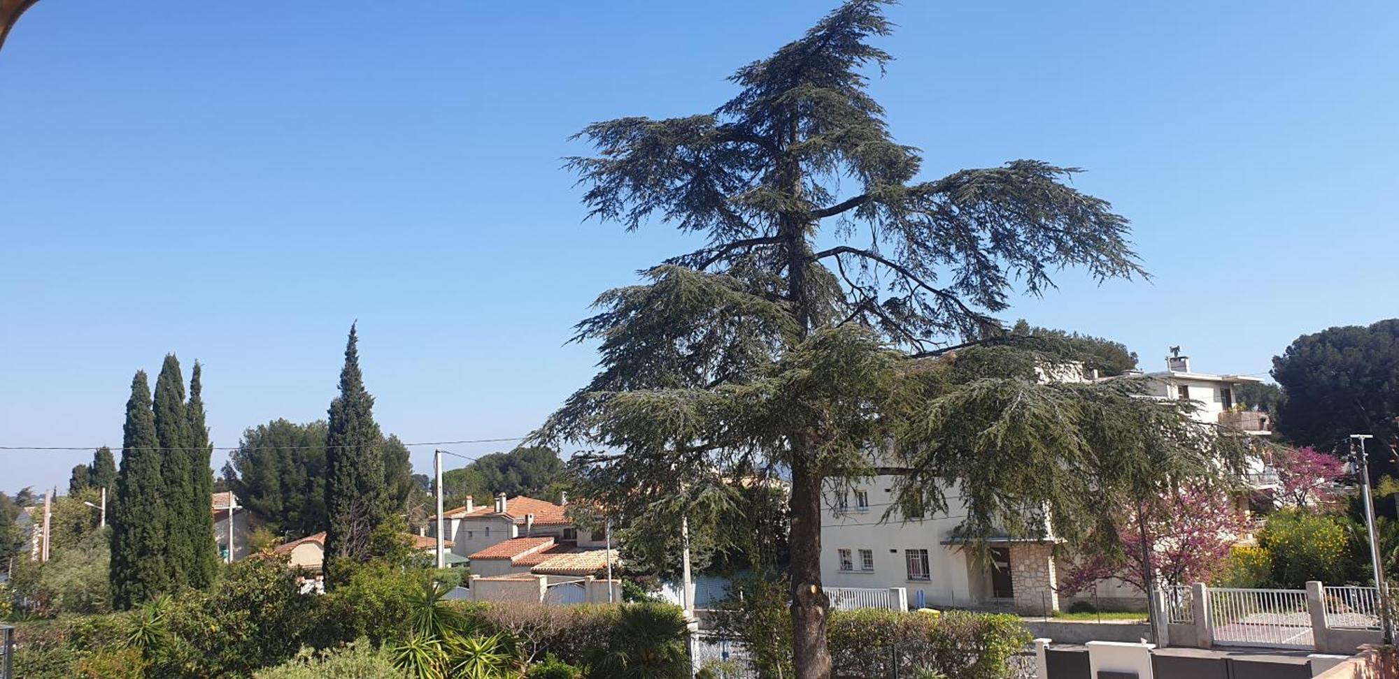 Ferienwohnung Les Vagues Bleues La Ciotat Exterior foto